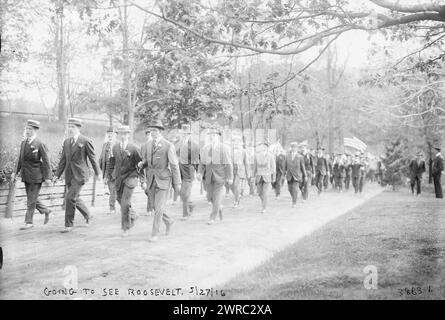 Going to See Roosevelt, 27.05.16, Foto zeigt Anhänger von Theodore Roosevelts Nominierung für den Präsidenten für die Bull Moose Party in Oyster Bay, New York, 1916., Glass negative, 1 negativ: Glass Stockfoto