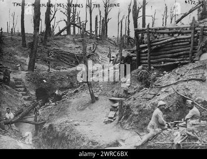 Der Wald namens des Fermes in der Somme, Foto zeigt ein Schlachtfeld mit Gräben und toten Bäumen in der Somme, Frankreich während des Ersten Weltkriegs, zwischen ca. 1915 und ca. 1920, Weltkrieg, 1914-1918, Glasnegative, 1 negativ: Glas Stockfoto