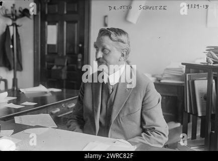 Dr. Otto Schultze, Foto zeigt Dr. Otto H. Schultze, einen Arzt in der New Yorker Gerichtsmediziner-Praxis, der Experte im Maude King Mordfall von 1917 war., 1917, Glasnegative, 1 negativ: Glas Stockfoto