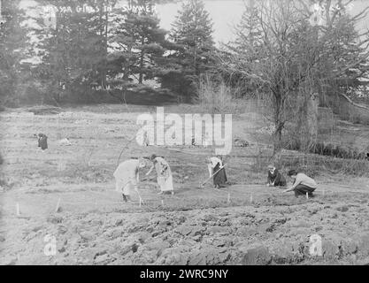 Vassar Mädchen im Sommer, zwischen ca. 1915 und ca. 1920, Glasnegative, 1 negativ: Glas Stockfoto