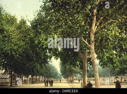 Die Promenade, Montpelier, Frankreich, zwischen ca. 1890 und ca. 1900., Farbe, 1890-1900 Stockfoto