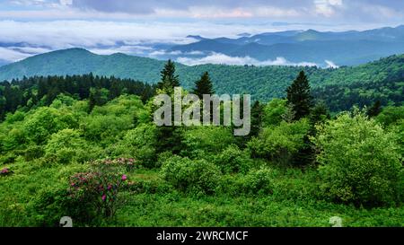 Malerischer Blick auf die Smokie Mountains vom Blue Ridge Parkway in der Nähe von Maggie Valley, North Carolina Stockfoto