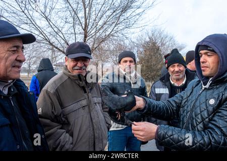 Eine Gruppe von Männern stellt ihre Tauben im Stadtzentrum aus. Buchara, Usbekistan. Stockfoto