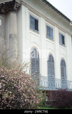 Ein weißes Haus mit blauen Fensterläden und einem grünen grasbewachsenen Hof Stockfoto