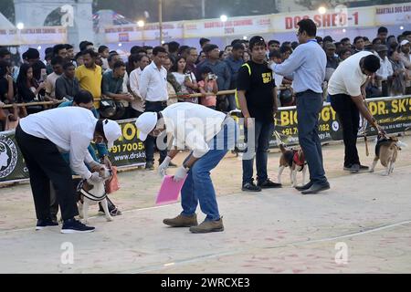 Richter überprüfen die Hunde während des Agartala Dog Carnival-2024, organisiert von Tripura Veterinary Doctors Association & Pawsome (Eine soziale Organisation) in Agartala. Tripura, Indien. Stockfoto