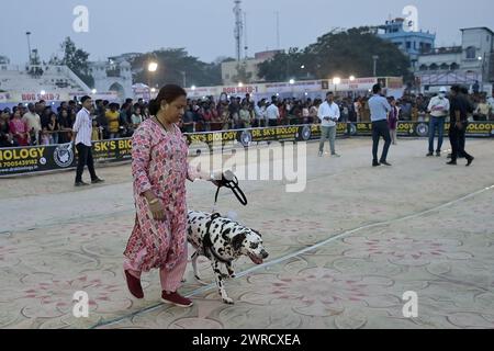 Hunde, die während des Agartala Dog Carnival 2024 von der Tripura Veterinary Doctors Association & Pawsome (Einer sozialen Organisation) in Agartala ausgebildet wurden. Tripura, Indien. Stockfoto