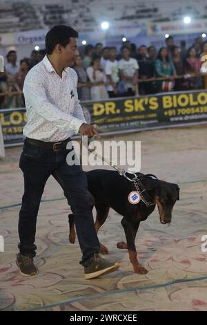 Hunde, die während des Agartala Dog Carnival 2024 von der Tripura Veterinary Doctors Association & Pawsome (Einer sozialen Organisation) in Agartala ausgebildet wurden. Tripura, Indien. Stockfoto