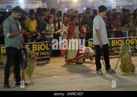 Hunde, die während des Agartala Dog Carnival 2024 von der Tripura Veterinary Doctors Association & Pawsome (Einer sozialen Organisation) in Agartala ausgebildet wurden. Tripura, Indien. Stockfoto