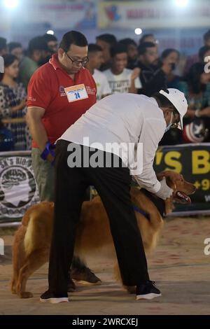 Richter überprüfen die Hunde während des Agartala Dog Carnival-2024, organisiert von Tripura Veterinary Doctors Association & Pawsome (Eine soziale Organisation) in Agartala. Tripura, Indien. Stockfoto