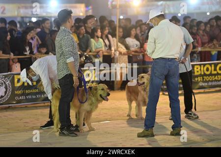 Richter überprüfen die Hunde während des Agartala Dog Carnival-2024, organisiert von Tripura Veterinary Doctors Association & Pawsome (Eine soziale Organisation) in Agartala. Tripura, Indien. Stockfoto