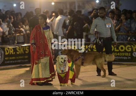 Hunde, die während des Agartala Dog Carnival 2024 von der Tripura Veterinary Doctors Association & Pawsome (Einer sozialen Organisation) in Agartala ausgebildet wurden. Tripura, Indien. Stockfoto