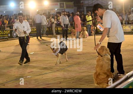 Hunde, die während des Agartala Dog Carnival 2024 von der Tripura Veterinary Doctors Association & Pawsome (Einer sozialen Organisation) in Agartala ausgebildet wurden. Tripura, Indien. Stockfoto