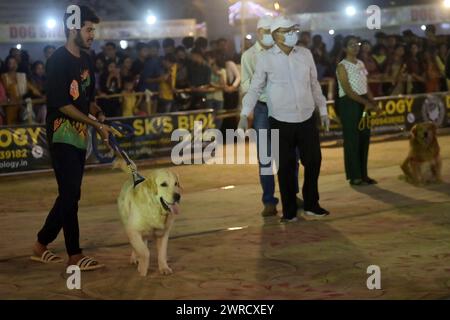 Hunde, die während des Agartala Dog Carnival 2024 von der Tripura Veterinary Doctors Association & Pawsome (Einer sozialen Organisation) in Agartala ausgebildet wurden. Tripura, Indien. Stockfoto