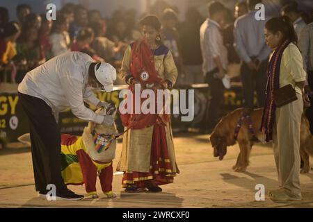 Richter überprüfen die Hunde während des Agartala Dog Carnival-2024, organisiert von Tripura Veterinary Doctors Association & Pawsome (Eine soziale Organisation) in Agartala. Tripura, Indien. Stockfoto