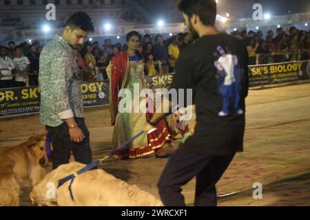 Hunde, die während des Agartala Dog Carnival 2024 von der Tripura Veterinary Doctors Association & Pawsome (Einer sozialen Organisation) in Agartala ausgebildet wurden. Tripura, Indien. Stockfoto