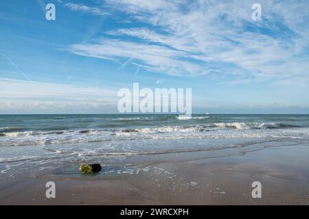 Dieses einladende Bild zeigt einen weiten Blick auf einen Sandstrand unter einem riesigen blauen Himmel, der von schroffen Wolken bedeckt ist. Sanfte Wellen waschen an Land und erzeugen weiche, schaumige Muster auf dem Sand. Ein einsames Stück Algen liegt am Strand, was auf die reiche Meereswelt des Ozeans und die natürlichen Trümmer hindeutet, die die Gezeiten mit sich bringen. Der Horizont ist klar, und das ruhige Meer verschmilzt an einem fernen Punkt mit dem Himmel und symbolisiert Ruhe und weite offene Räume. Diese Szene ist eine klassische Darstellung der ruhigen Schönheit, die die Küsten bieten. Serene Seashore Symphony. Hochwertige Fotos Stockfoto