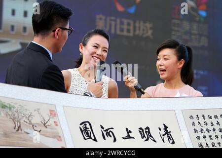 ZHENGZHOU, CHINA - 17. AUGUST 2013 - (DATEI) Schauspielerin Zhang Ziyi nimmt am 1. August an einer Festveranstaltung in einem Hotel in Zhengzhou, Provinz Henan, China Teil Stockfoto