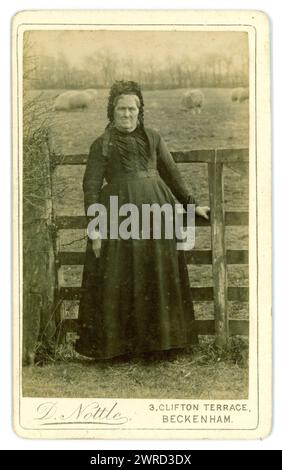 Original viktorianische Carte de Visite (Visitenkarte oder CDV) ältere viktorianische Frau, viktorianische Dame in schwarzer Kleidung und mit einer Mütze, fotografiert in ländlicher Umgebung, von Field of Sheep von D. Nottle von 3 Clifton Terrace, Beckenham, Greater London (war in County of Kent) Großbritannien um 1880er Jahre Stockfoto