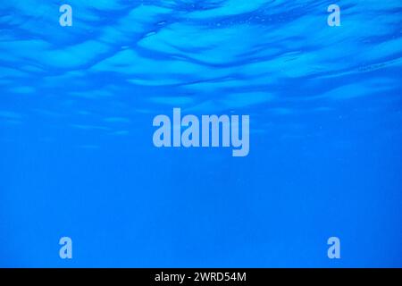 Blaue Wasserstruktur, blaue Minzwasseroberfläche mit Ringen und Kräuseln. Hintergrund des Spa-Konzepts. Flache Ladefläche, Kopierraum. Blaue Wasseroberfläche Stockfoto