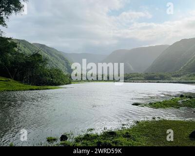 Der Fluss fließt durch ein üppiges, grünes Tal mit Bäumen Stockfoto