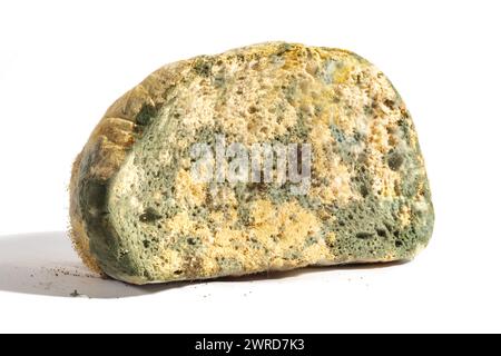 Der alte Schimmel auf dem Weizenbrot hat das Essen verdorben. Schimmel auf weißem Lebensmittelhintergrund Stockfoto