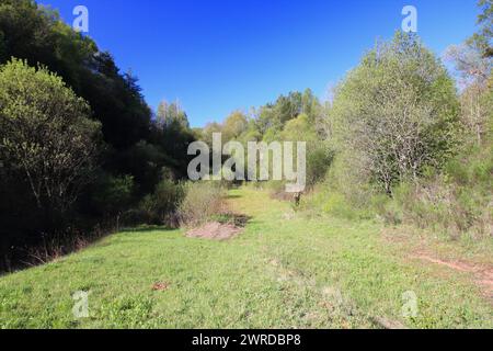 Snapshot aus dem Nationalpark Hunsrueck-Hochwald ist ein Nationalpark in der Region Hunsrueck in Rheinland-Pfalz und im Saarland in Ge Stockfoto