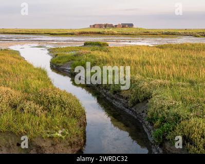 Ockelützwarft, Warft auf Hallig Hooge, Nordfriesland, Schleswig-Holstein, Deutschland Stockfoto