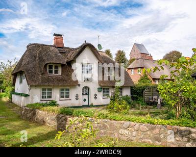 Haus mit Strohdach in der Altstadt von Nieblum auf der Insel Foehr, Nordfriesland, Schleswig-Holstein, Deutschland Stockfoto