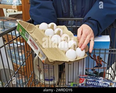 Marktkauf - Einkauf zu Zeiten von Inflation und Krieg in der Ukraine Eier, Huehner, Bioei, Legehünner, Legehennen, Eierpreis, Bodenhaltung, Gefluegel, Gefluegelhaltung, Gefluegelmarkt, Lieferkette, Marktkauf - Einkauf in einem Supermarkt oder Discounter *** Marktkauf Einkauf in Zeiten der Inflation und des Krieges in der Ukraine Eier, Hühner, Bio-Eier, Legehennen, Legehennen, Eierpreis, Stallhaltung, Geflügel, Geflügelhaltung, Geflügelmarkt, Lieferkette, Markteinkäufe in einem Supermarkt oder Discounter Stockfoto