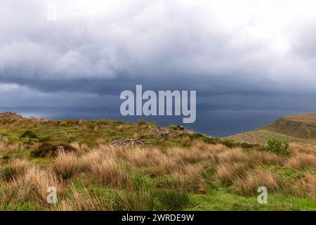 Die wilden Gräser der Küste der Isle of Skye beugen sich dem Willen des Windes unter einem dramatischen, stürmischen Himmel, mit einem Blick auf ferne Küsten unter dem Sturm Stockfoto