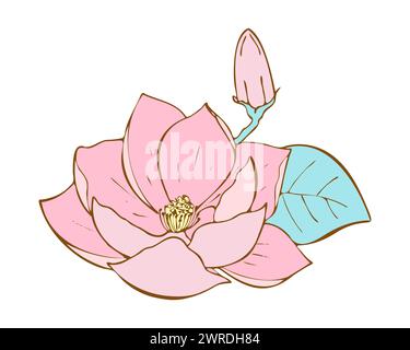Lotus rosa Blume handgezeichnet. Wasser lilia isoliert auf weißem Hintergrund. Lotoslilie zum Design mit Doodle zeichnen. Vektorabbildung Stock Vektor