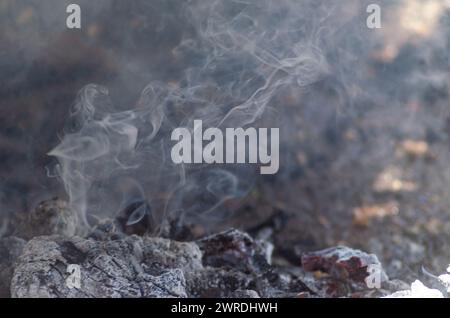 Detail der schwelenden Holzkohle auf einem Grill Stockfoto