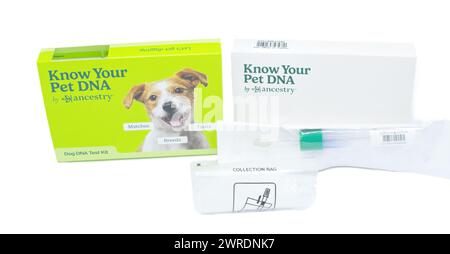 Ocala, FL 3-11-2024 Erkennen Sie die DNA Ihres Haustieres, Hundes oder Ihrer Katze durch Ancestry Tupfer-Testkit mit grüner und weißer Box mit Rücksendeverpackung, Sammelbeutel und Stockfoto