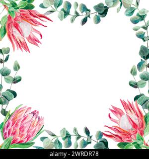 Protea Aquarell, Eukalyptuszweige, quadratischer Rahmen. Vektor-Illustration eines Straußes rosa Blumen. Designelement für Karten, Hochzeitseinladungen, BA Stock Vektor