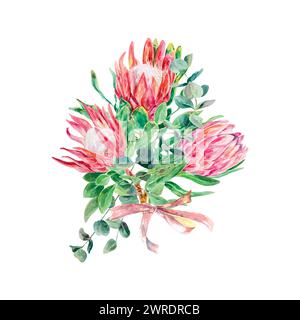Protea Aquarell. Vektor-Illustration eines Straußes rosa Blumen. Designelement für Karten, Hochzeitseinladungen, Banner, Umschläge, Etiketten, Poster. Stock Vektor