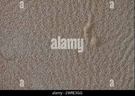 Hefekörner, die zur Teigherstellung in Wasser gegossen werden. Stockfoto