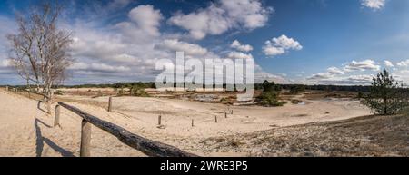 Panoramablick auf treibende Sanddünen, Wasserpfützen und Wälder. Naturschutzgebiet Veluwe in den Niederlanden mit Schutzzaun Stockfoto