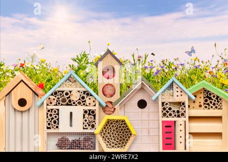 Farbenfrohe neue Vogelhäuser und Insektenhotels vor blühenden Wildblumen mit fliegenden Insekten Stockfoto