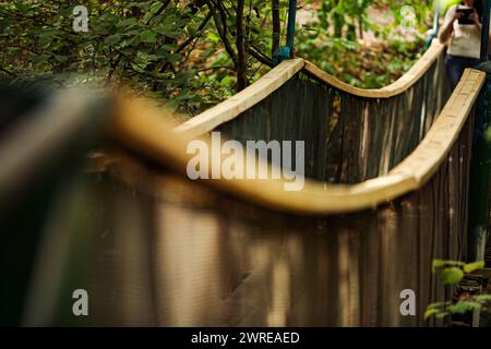 Alte Holzbrücke mit Schutzgeländern über einen kleinen Fluss in einem Wald. Sonniger Sommertag, keine Leute. Hochwertige Fotos Stockfoto