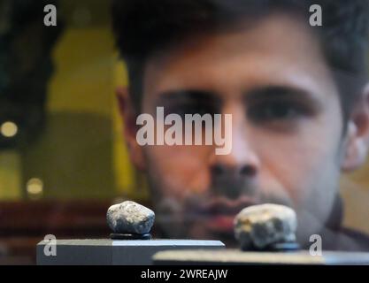 Berlin, Deutschland. März 2024. Thor aus Hannover betrachtet eines der Bruchstücke eines Meteoriten in der Mineralhalle des Naturhistorischen Museums. Der Meteorit traf im Januar bei Ribbeck bei Berlin auf die Erde. Quelle: Soeren Stache/dpa/Alamy Live News Stockfoto