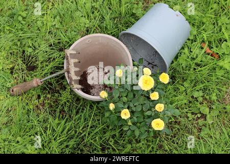 Gartengeräte auf dem Gras. Hintergrund mit Kopierraum. Gartenbaukonzept. Stockfoto