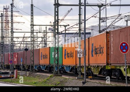 Hafen Hamburg, Container Umschlag, Bahnlinie am Container Terminal Burchardkai, Transport auf der Schiene, vom und zum Hafen, Hamburg Deutschland, Containerhafen HH *** Hafen Hamburg, Containerumschlag, Bahnlinie am Container Terminal Burchardkai, Transport per Bahn, vom und zum Hafen, Hamburg Deutschland, Containerhafen HH Stockfoto