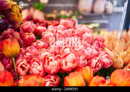 Lebendige Tulpen in verschiedenen Farben präsentieren ein frisches, blumiges Angebot auf einem lebhaften Frühlingsmarkt. Stockfoto