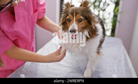 Eine junge hispanische Tierärztin untersucht einen fröhlichen Hund in einem Tierklinikzimmer. Stockfoto