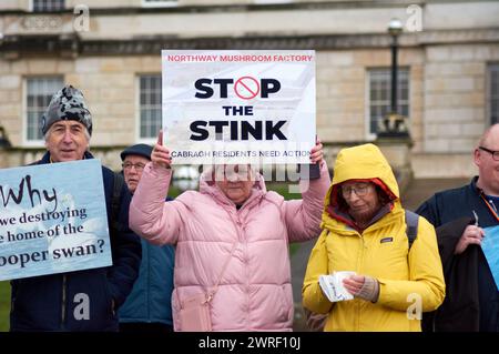 Belfast, Vereinigtes Königreich 12 03 2024 Demonstranten in Stomont Parliament Building Teil der Kampagne Save Lough Neagh Belfast Northern Ireland Credit: HeadlineX/Alamy Live News Stockfoto