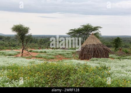 Häuser von Menschen aus einem Stamm Hamer im Omo Rift Valley, Äthiopien. Stockfoto