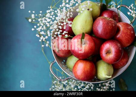 Stillleben Foto mit Birnen roten Äpfeln auf blauem Hintergrund. Nahaufnahme von Obst der Saison. Ausgewogenes Ernährungskonzept. Stockfoto