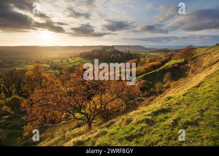 Blick auf Dursley und Downham Hill vom Uley Bury Hügel bei Sonnenuntergang im Herbst, Dursley, Cotswolds, Gloucestershire, England, Vereinigtes Königreich, Europa Stockfoto