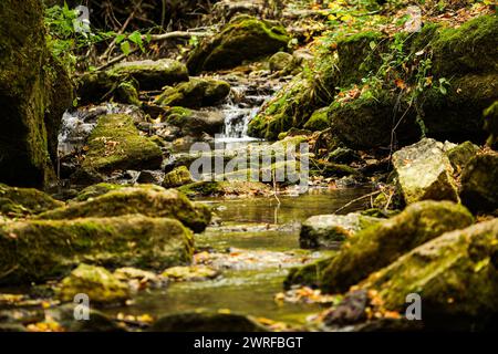 Das Wasser fließt über einen kleinen Gebirgsbach und fließt über Basaltblöcke. Ein kleiner Wasserfall fließt durch das Moos. Hochwertige Fotos Stockfoto