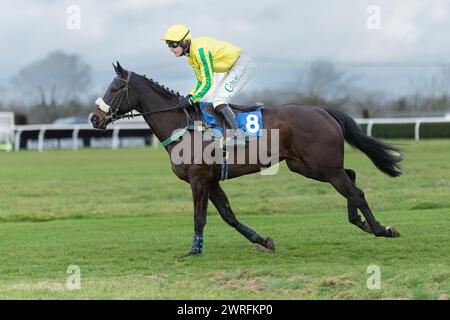 Viertes Rennen in Wincanton, 3. Februar 2022 Stockfoto